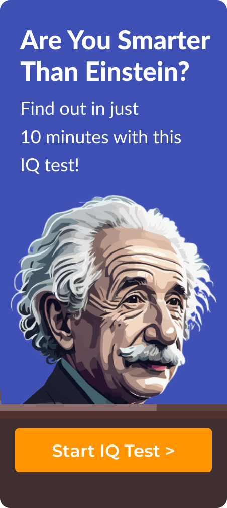 albert einstein banner